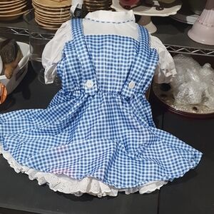 Adorable Blue Checkered Dress with White Details